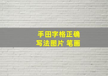 手田字格正确写法图片 笔画